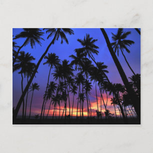Relaxed design Florida feel Postcard