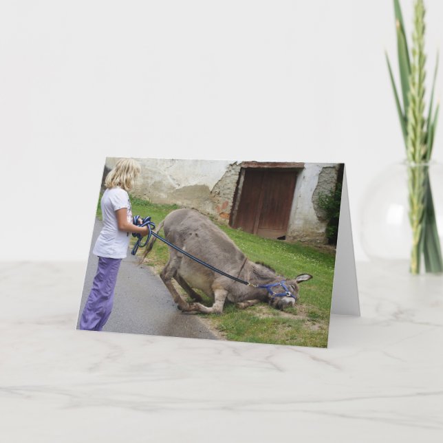 Relaxed Donkey Card (Front)