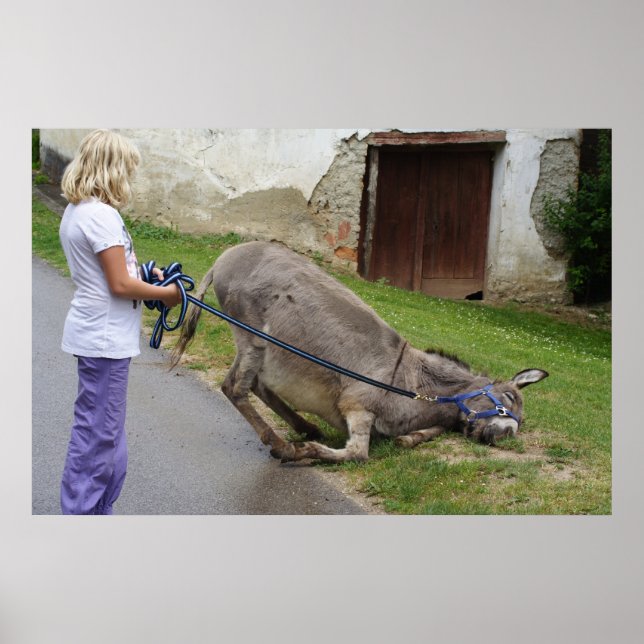 Relaxed Donkey Poster (Front)