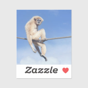 Relaxed Gibbon Sitting on a Rope in the Sun
