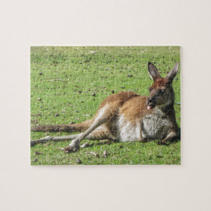 Relaxed Kangaroo Puzzle