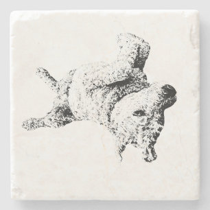 Relaxed Lines of Humor Stone Coaster
