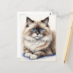 Relaxed Ragdoll Cat Illustration Cosy Pet Postcard