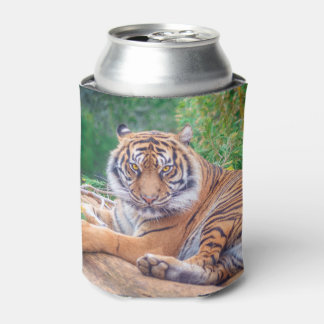 Relaxed Reclining Tiger Can Cooler