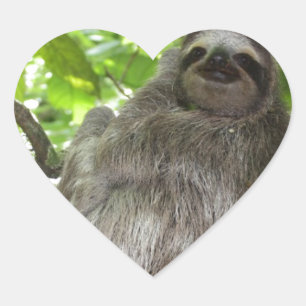 Relaxed Sloth in Nature Heart Sticker