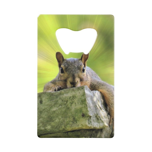 Relaxed Squirrel (Front)