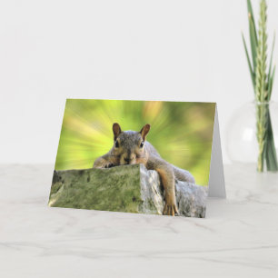 Relaxed Squirrel Card