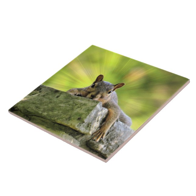 Relaxed Squirrel Ceramic Tile (Side)