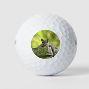 Relaxed Squirrel Golf Balls