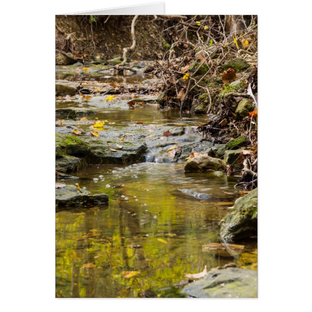 Relaxing At North Wears (Front)