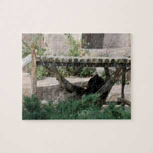 Relaxing Bear in Hammock Jigsaw Puzzle