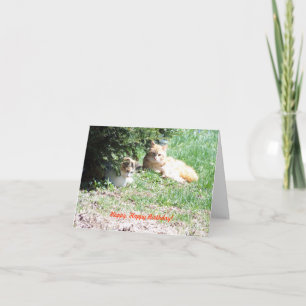 Relaxing Birthday, Cats & Cake Card