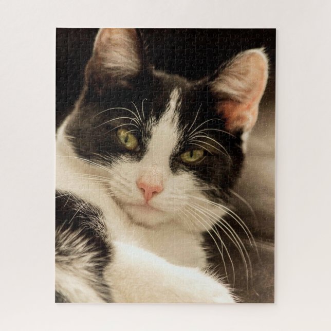 Relaxing black and white cat jigsaw puzzle (Vertical)