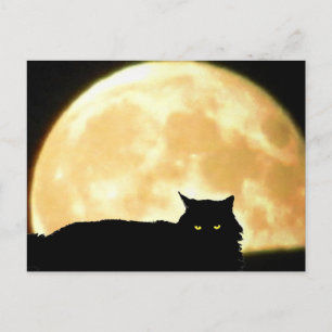 Relaxing Black Cat and Full Moon Postcard