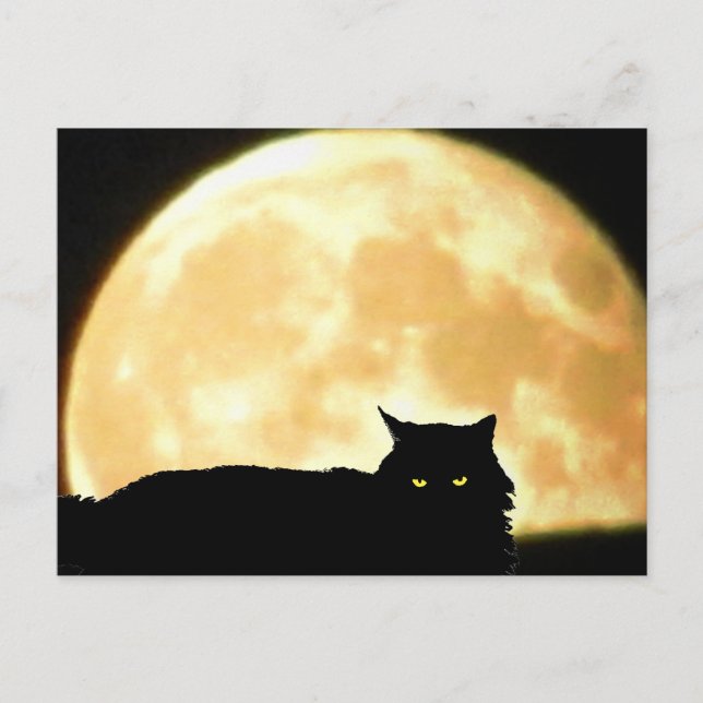 Relaxing Black Cat and Full Moon Postcard (Front)
