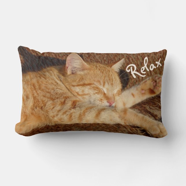 Relaxing Cat Lumbar Cushion (Front)