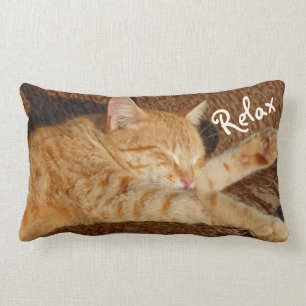 Relaxing Cat Lumbar Cushion