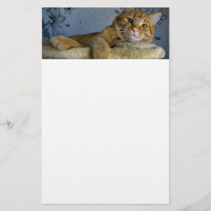 Relaxing Cat Stationery