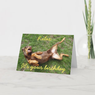 Relaxing doberman dog card