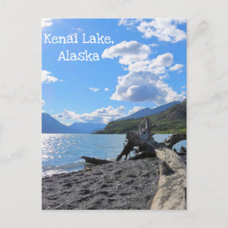Relaxing Driftwood Beach Log Kenai Lake, Alaska Postcard