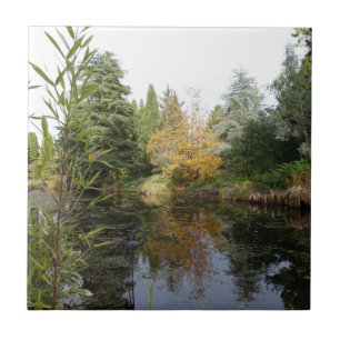 Relaxing garden scene picture, beautiful trees... ceramic tile