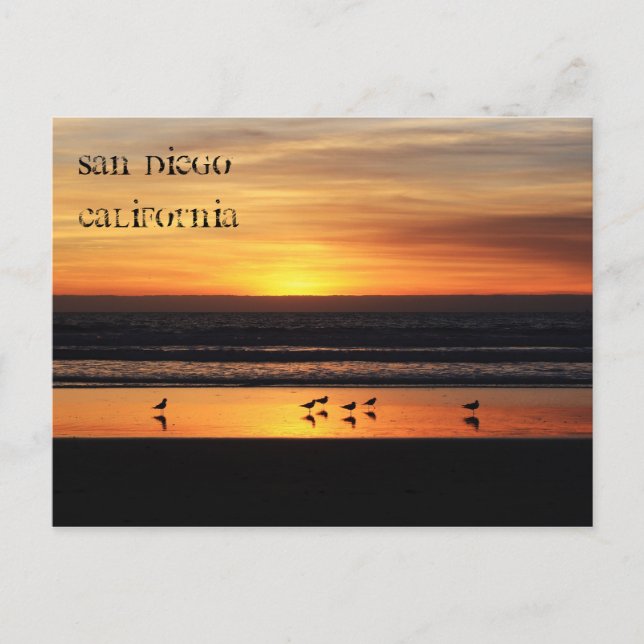 Relaxing in San Diego Postcard (Front)