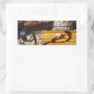Relaxing in the autumn sun rectangular sticker