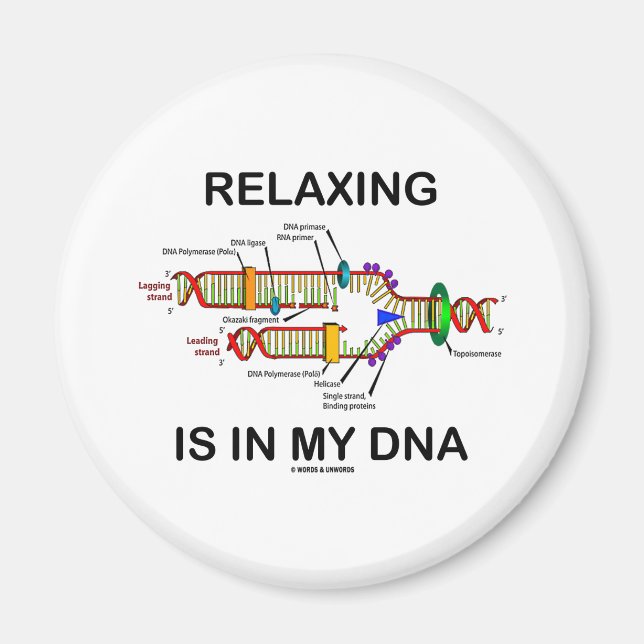 Relaxing Is In My DNA (DNA Replication) Magnet (Front)