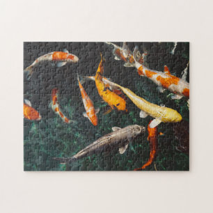 Relaxing Orange & White Asian Koi Fish Pond Jigsaw Puzzle