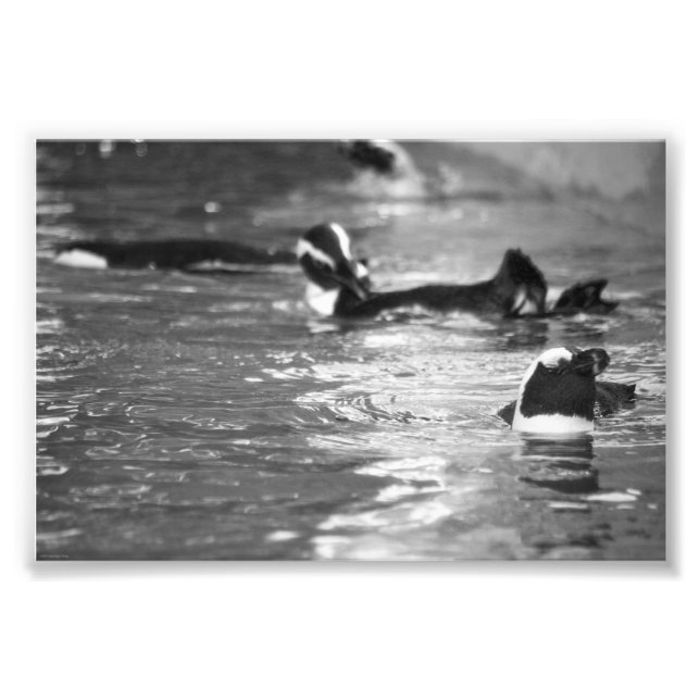 Relaxing Photo Print (Front)