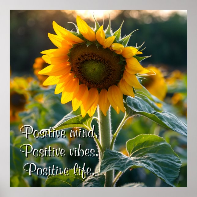 Relaxing Sunflower Picture Personalised Quote Poster (Front)