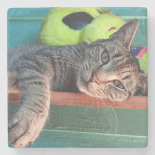 Relaxing Tiger Cat Love Stone Coaster