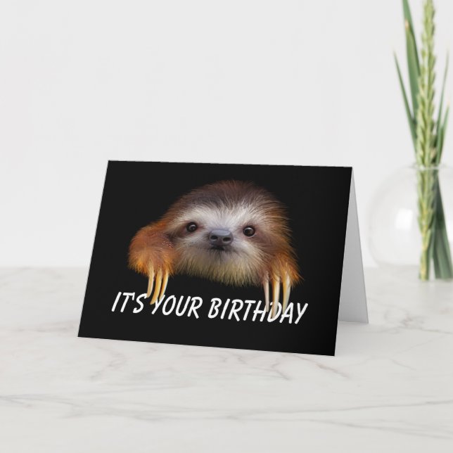 Release Your Inner Sloth Birthday Card (Front)