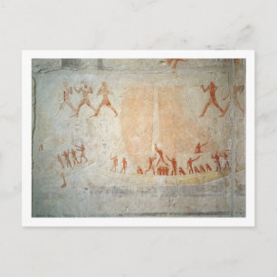 Relief from the Mastaba of Akhethotep depicting bo Postcard