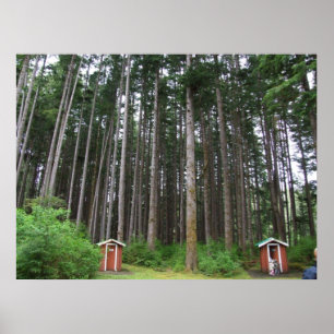 Relief in the trees poster
