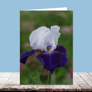 Religious Birthday Cards -- Purple Iris