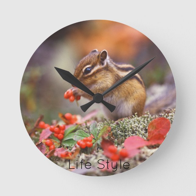 Reloj de pared Chipmunk Round Clock (Front)