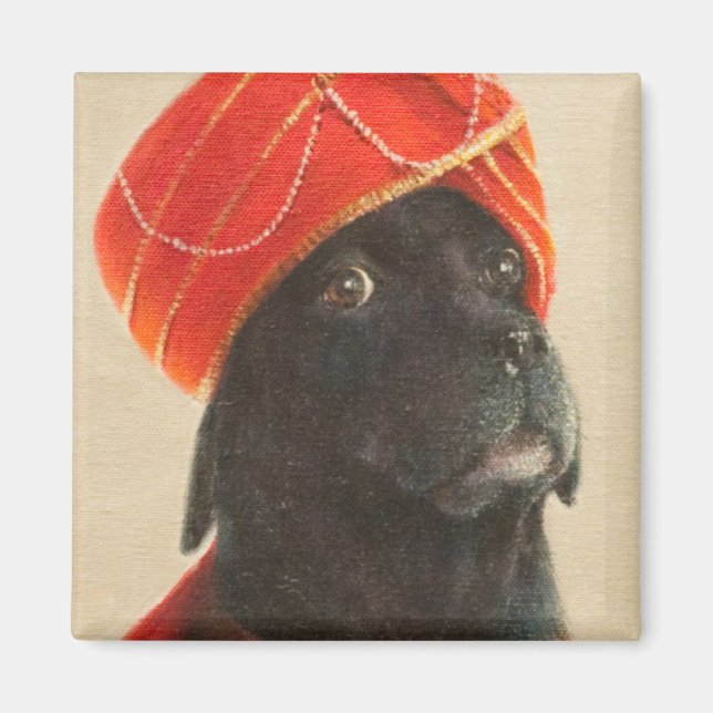 Reluctant Maharaja 2010 Magnet (Front)