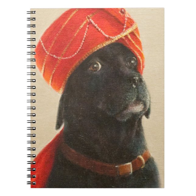 Reluctant Maharaja 2010 Notebook (Front)