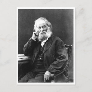 Remain "Cool and Composed" Motivational Quote Postcard