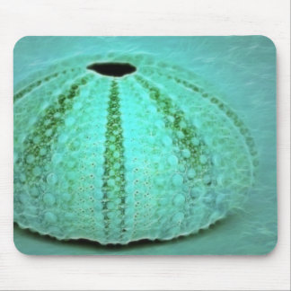 remains mouse pad