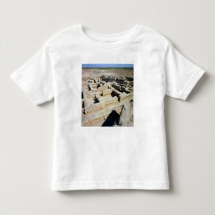 Remains of houses toddler T-Shirt