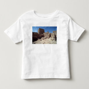 Remains of the fortress palace toddler T-Shirt