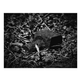 "Remanence of Bygone Days" Photo Print
