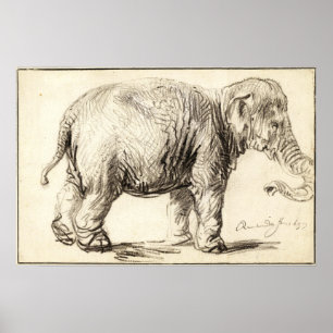 Rembrandt - Elephant 1637 Poster