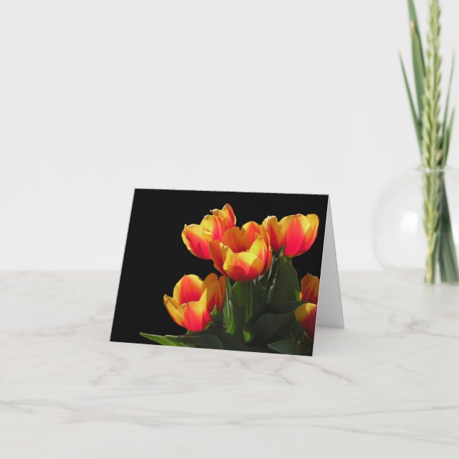 Rembrandt Tulip Note Card (Front)