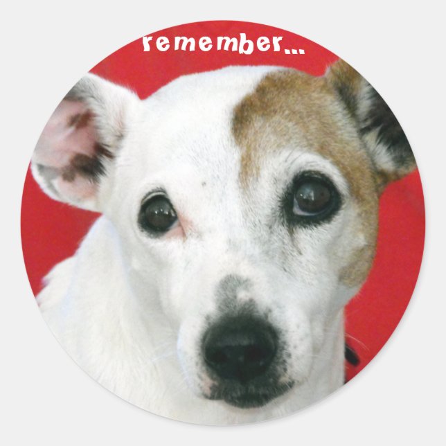 remember... classic round sticker (Front)