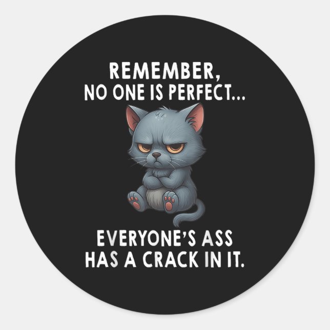 Remember Is Perfect Everyones Has A Crack In It  Classic Round Sticker (Front)