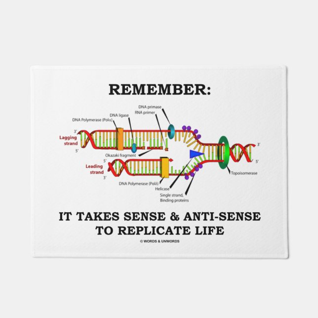 Remember: It Takes Sense Anti-Sense To Replicate Doormat (Front)