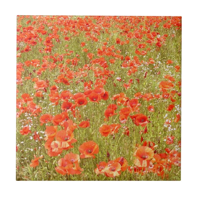 REMEMBER ME TILE (Front)